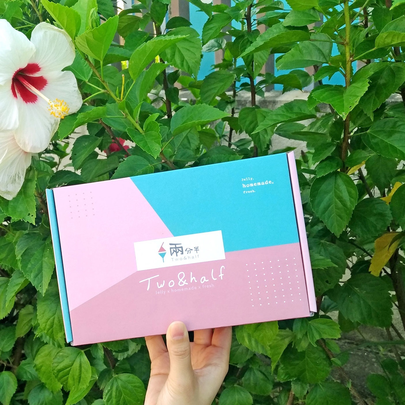 【兩分半果凍】大人口味 6入商品照片 2